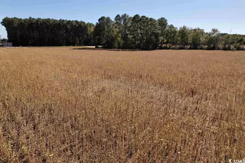 Off Highway 9, Dillon, SC 29536 photo 5