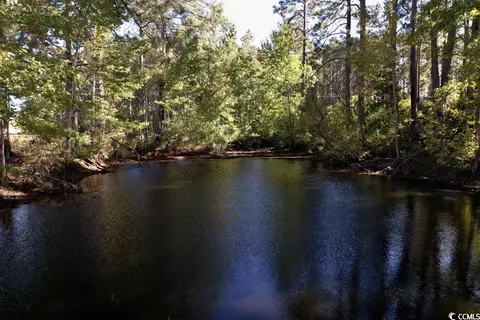 Off Highway 9, Dillon, SC 29536 photo 14