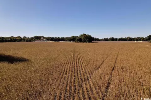 Off Highway 9, Dillon, SC 29536 photo 3