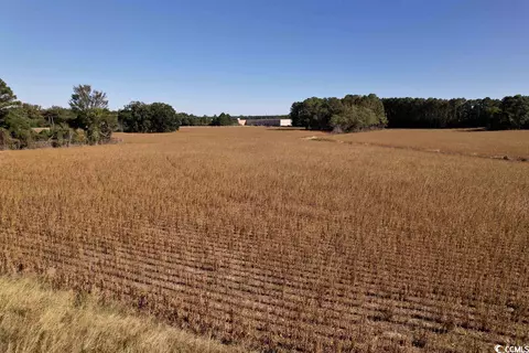 Off Highway 9, Dillon, SC 29536 photo 7
