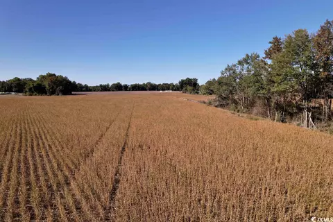 Off Highway 9, Dillon, SC 29536 photo 4