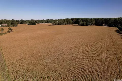 Off Highway 9, Dillon, SC 29536 photo 9