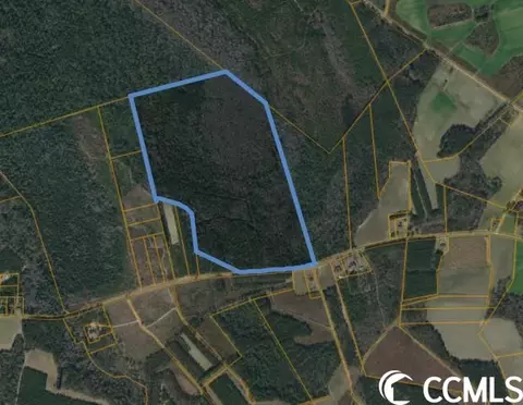 Tbd Highway 430, Nichols, SC 29581
