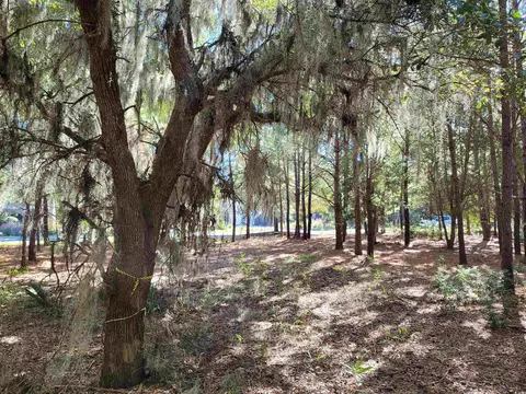 lot7 Colony Club Dr, Georgetown, SC 29440 photo 10