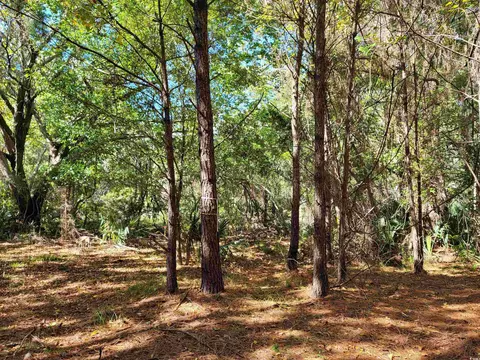 lot7 Colony Club Dr, Georgetown, SC 29440 photo 9