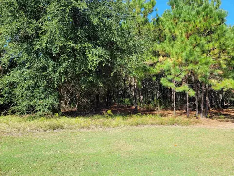 lot7 Colony Club Dr, Georgetown, SC 29440 photo 2