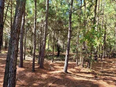 lot7 Colony Club Dr, Georgetown, SC 29440 photo 7