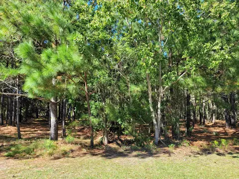 lot7 Colony Club Dr, Georgetown, SC 29440 photo 5