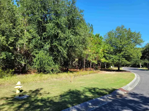 lot7 Colony Club Dr, Georgetown, SC 29440 photo 1
