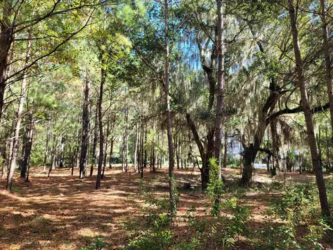 lot7 Colony Club Dr, Georgetown, SC 29440 photo 12