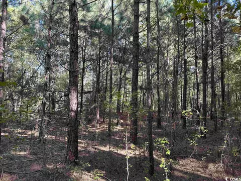 Tbd Verlie Dr., Cades, SC 29518