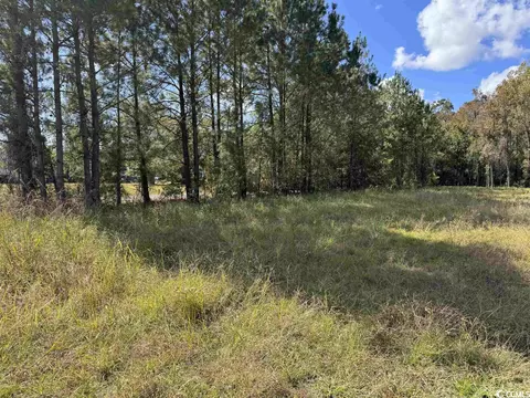 Bridgebrook Ln., Conway, SC 29527 photo 5