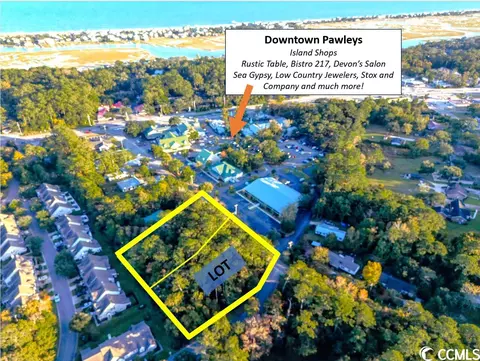 Lot Tbd Professional Ln., Pawleys Island, SC 29585
