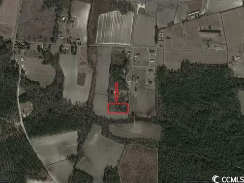 3356 Dossie Rd, Loris, SC 29569