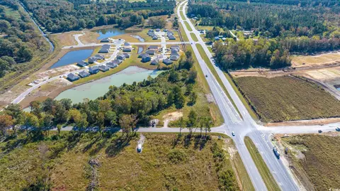 Camp Swamp Rd., Longs, SC 29568 photo 6
