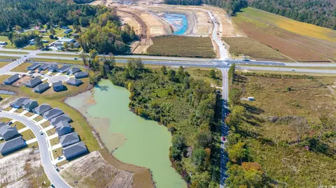 Camp Swamp Rd., Longs, SC 29568 photo 5