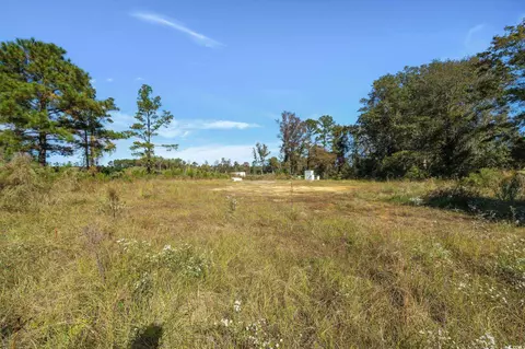 Camp Swamp Rd., Longs, SC 29568 photo 15