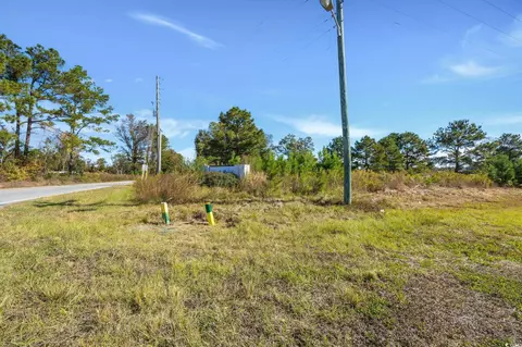 Camp Swamp Rd., Longs, SC 29568 photo 18