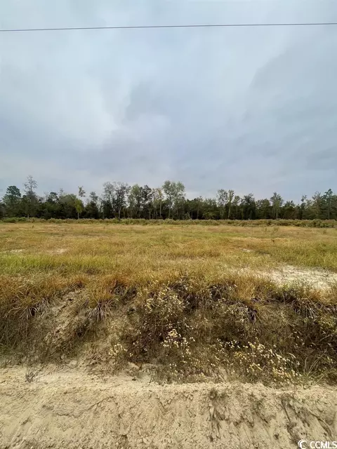 1402 Hardwick Rd, Conway, SC 29526 photo 2