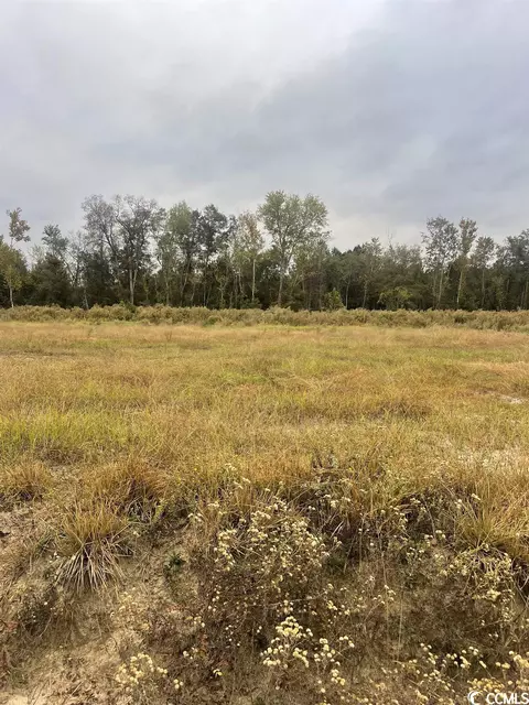 1402 Hardwick Rd, Conway, SC 29526