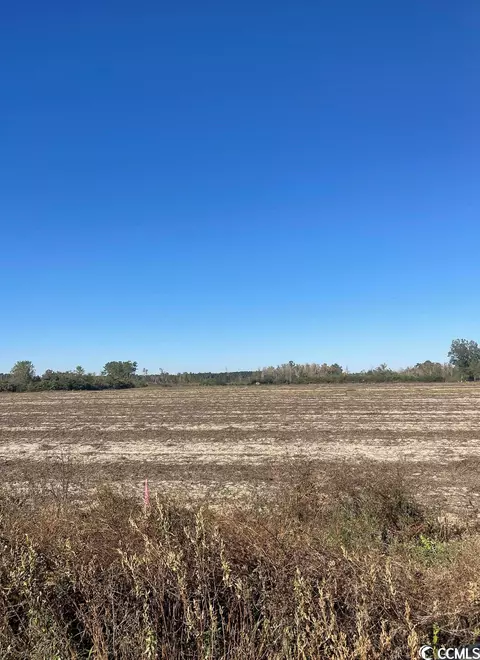 Tbd Joyner Swamp Rd., Galivants Ferry, SC 29544