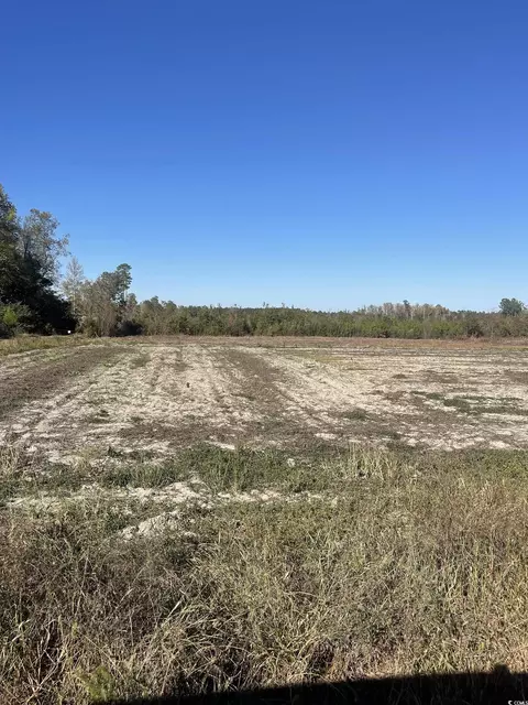Tbd Joyner Swamp Rd., Galivants Ferry, SC 29544