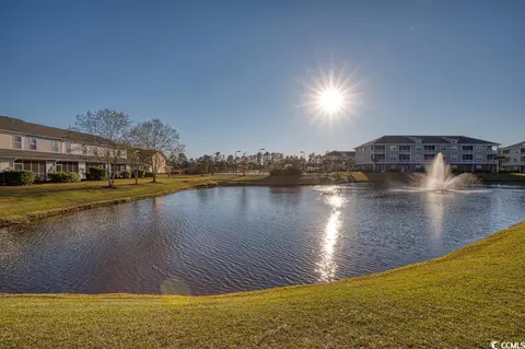 310 Kiskadee Loop #D, Conway, SC 29526 photo 30