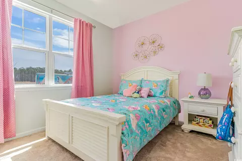 459 Samara Dr, Longs, SC 29568 photo 6