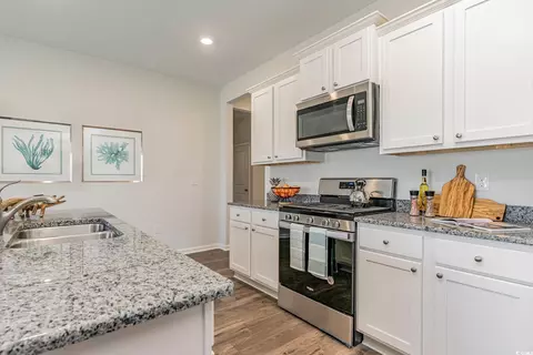 459 Samara Dr, Longs, SC 29568 photo 14