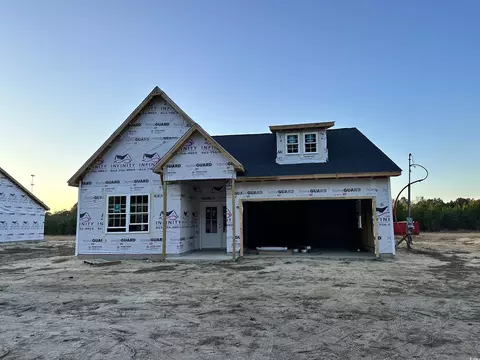 407 Log Cabin Rd, Loris, SC 29569 photo 21