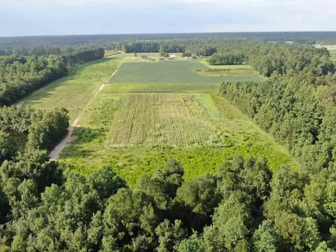 Tbd Highway 308, Galivants Ferry, SC 29544