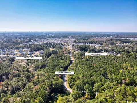 tbd 1 Mineola Ave, Little River, SC 29566