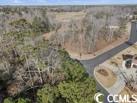 2201 Bentbill Cir, North Myrtle Beach, SC 29582