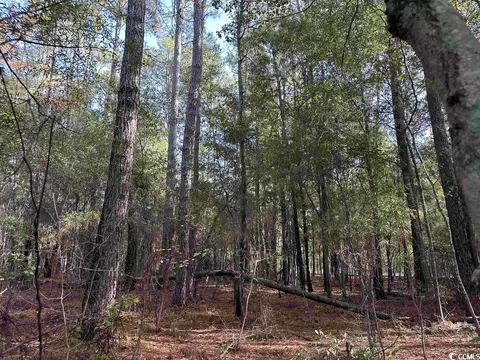 Tbd Willtown Rd., Kingstree, SC 29556