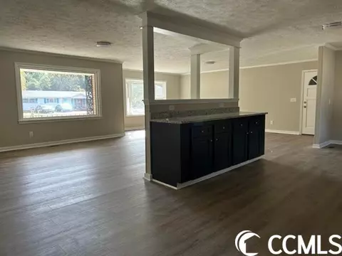 4142 Double Loop Rd, Mullins, SC 29574 photo 4