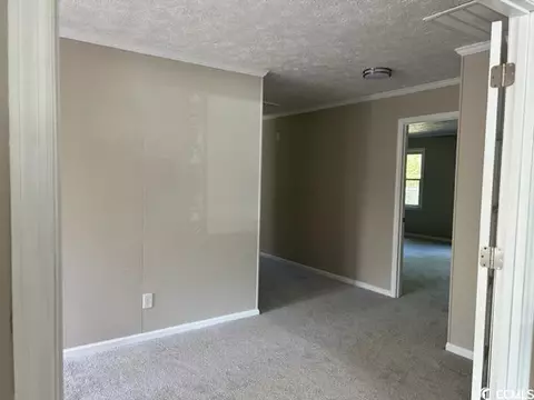 4142 Double Loop Rd, Mullins, SC 29574 photo 15