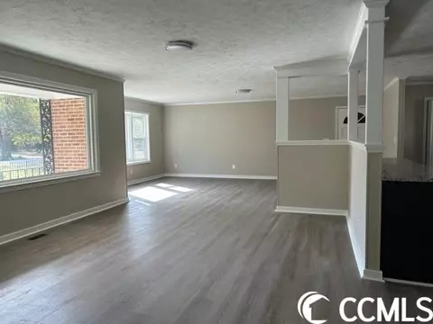 4142 Double Loop Rd, Mullins, SC 29574 photo 3
