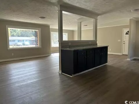 4142 Double Loop Rd, Mullins, SC 29574 photo 4