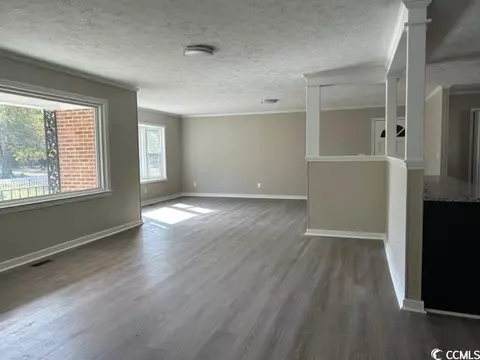 4142 Double Loop Rd, Mullins, SC 29574 photo 3