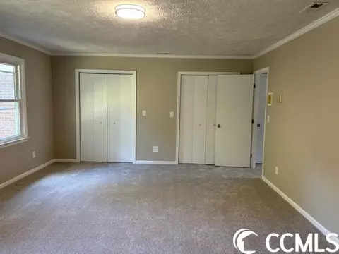 4142 Double Loop Rd, Mullins, SC 29574 photo 17