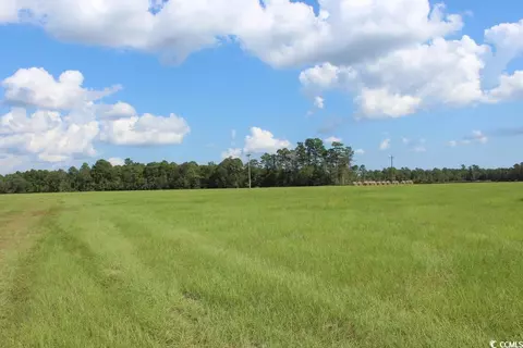 978 Log Cabin Rd, Loris, SC 29569 photo 18