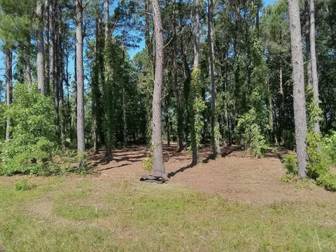 3800 Kickapoo Dr, Green Sea, SC 29545