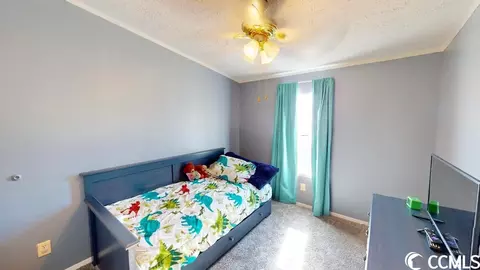 1233 Herman Rd, Loris, SC 29569 photo 19