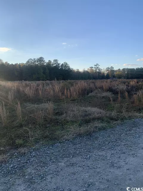 00 Saddletown Rd, Pamplico, SC 29583