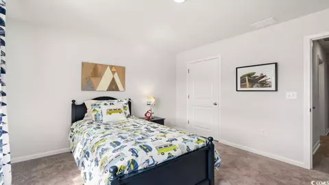 127 Honey Jar Way, Longs, SC 29568 photo 9