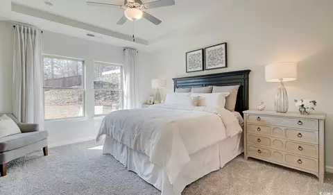 2423 Copper Meadow Loop, Longs, SC 29568 photo 13