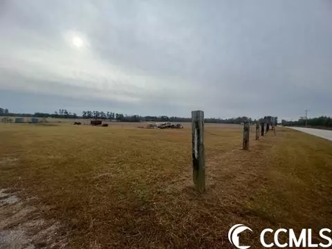 Tbd Bud Graham Rd., Galivants Ferry, SC 29544