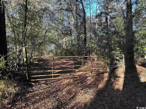 Tbt Richard Rd., Johnsonville, SC 29555