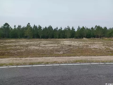 Lot 13 Harper Rd., Marion, SC 29571