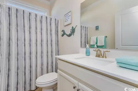 165 Bucky Loop, Murrells Inlet, SC 29576 photo 22